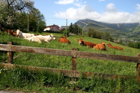 2013-05-01_balade_colline_Echaud_La_Ravoire_04.jpg