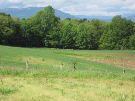 panorama_les_paniers_les_paniers_de_la_dhuy_1.JPG