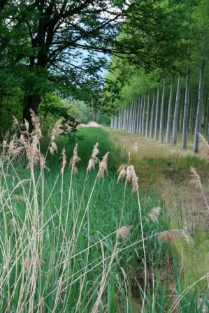 Un chemin